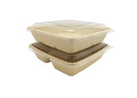 Disposable biodegradable takeaway bagasse sugarcane pulp food container with lid