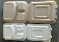 9 inch Outdoors Takeaway Food Containers Disposable Lunch Biodegradable Container