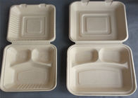biodegradable sugarcane bagasse food container with pla plastic lid